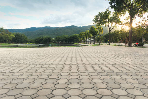 Best Professional Driveway Pavers  in Anaheim, CA